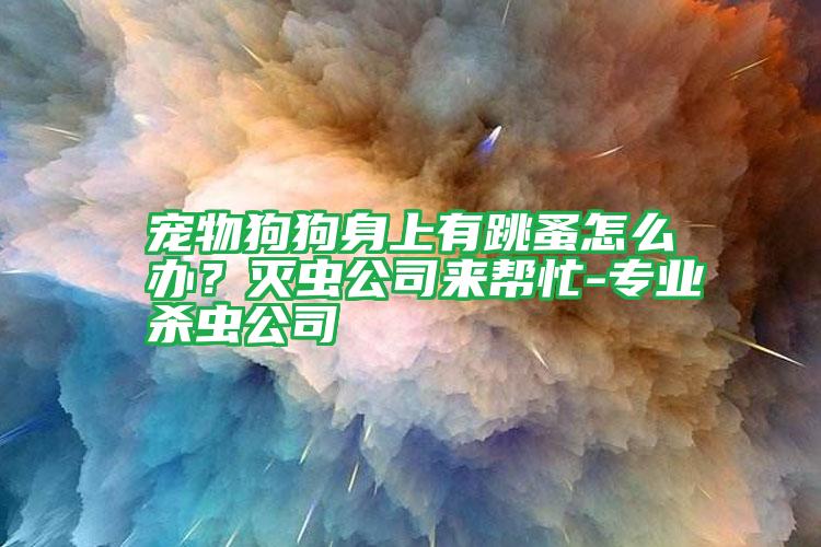 寵物狗狗身上有跳蚤怎么辦？滅蟲公司來幫忙-專業(yè)殺蟲公司