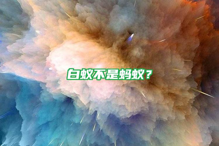 白蟻不是螞蟻？