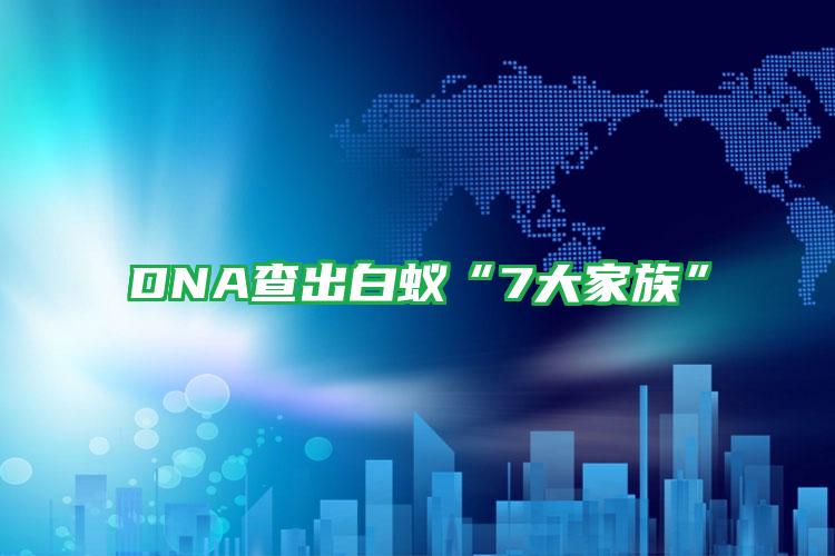 DNA查出白蟻“7大家族”