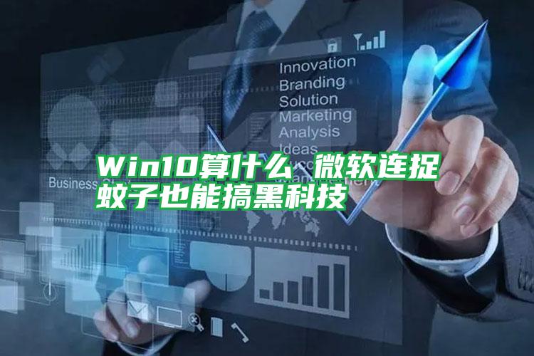 Win10算什么 微軟連捉蚊子也能搞黑科技