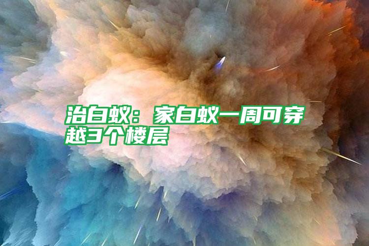 治白蟻：家白蟻一周可穿越3個樓層