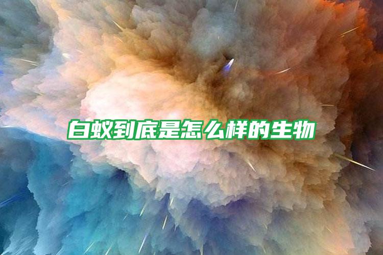 白蟻到底是怎么樣的生物