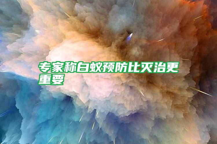 專家稱白蟻預(yù)防比滅治更重要