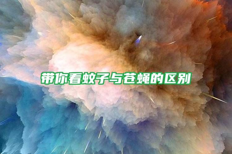 帶你看蚊子與蒼蠅的區(qū)別