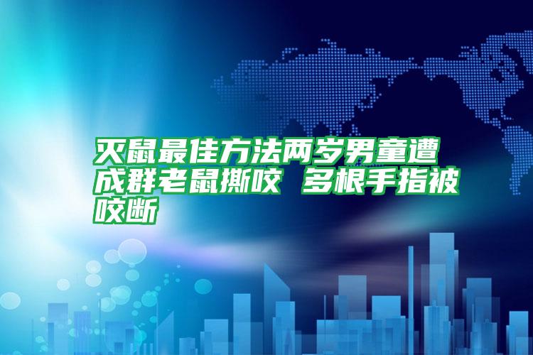 滅鼠最佳方法兩歲男童遭成群老鼠撕咬 多根手指被咬斷