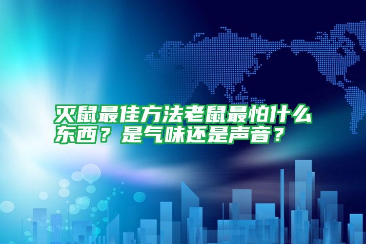 滅鼠最佳方法老鼠最怕什么東西？是氣味還是聲音？