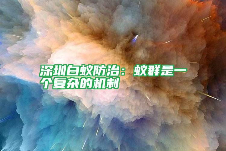 深圳白蟻防治：蟻群是一個復雜的機制