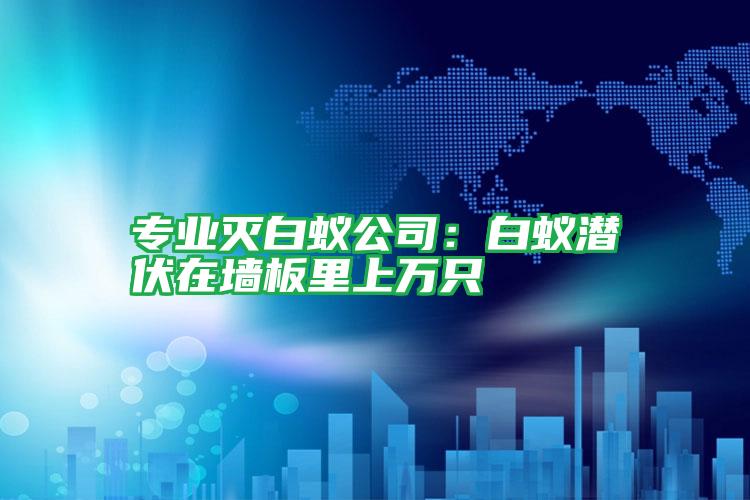 專業(yè)滅白蟻公司：白蟻潛伏在墻板里上萬只