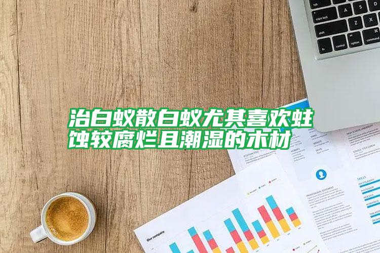 治白蟻散白蟻尤其喜歡蛀蝕較腐爛且潮濕的木材