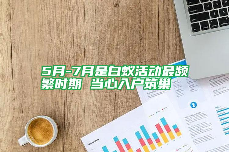 5月-7月是白蟻活動最頻繁時(shí)期 當(dāng)心入戶筑巢