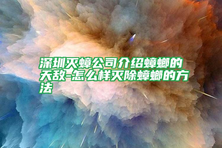 深圳滅蟑公司介紹蟑螂的天敵-怎么樣滅除蟑螂的方法