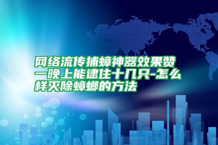 網絡流傳捕蟑神器效果贊 一晚上能逮住十幾只-怎么樣滅除蟑螂的方法