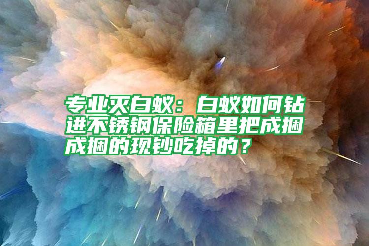 專業(yè)滅白蟻：白蟻如何鉆進(jìn)不銹鋼保險(xiǎn)箱里把成捆成捆的現(xiàn)鈔吃掉的？