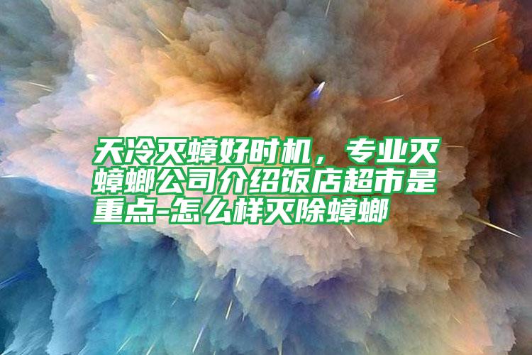 天冷滅蟑好時(shí)機(jī)，專業(yè)滅蟑螂公司介紹飯店超市是重點(diǎn)-怎么樣滅除蟑螂