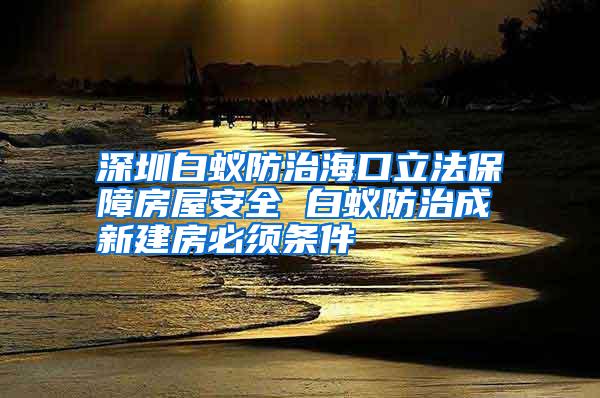 深圳白蟻防治海口立法保障房屋安全 白蟻防治成新建房必須條件