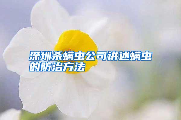 深圳殺螨蟲公司講述螨蟲的防治方法