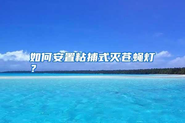 如何安置粘捕式滅蒼蠅燈？