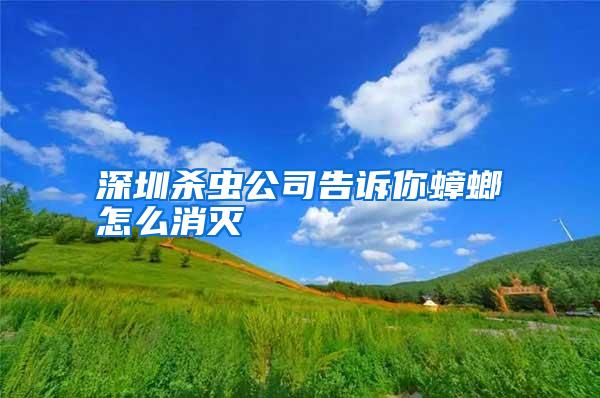 深圳殺蟲公司告訴你蟑螂怎么消滅