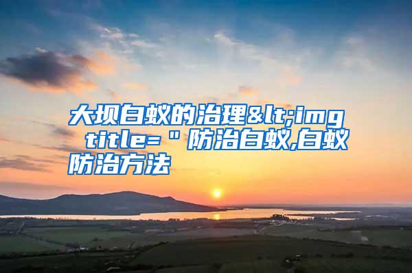 大壩白蟻的治理<img title=＂防治白蟻,白蟻防治方法