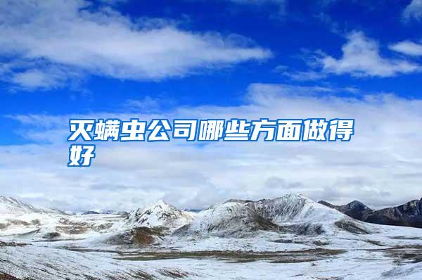 滅螨蟲公司哪些方面做得好