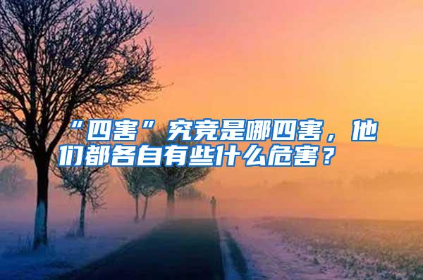 “四害”究競(jìng)是哪四害，他們都各自有些什么危害？