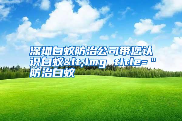 深圳白蟻防治公司帶您認識白蟻<img title=＂防治白蟻