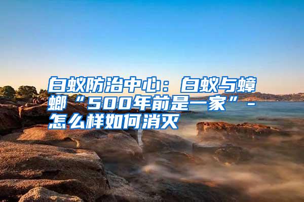 白蟻防治中心：白蟻與蟑螂“500年前是一家”-怎么樣如何消滅