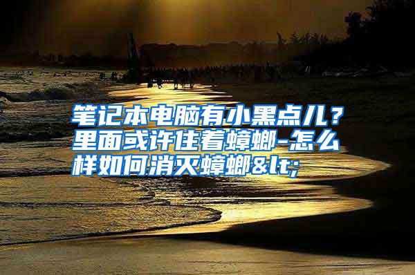 筆記本電腦有小黑點兒？里面或許住著蟑螂-怎么樣如何消滅蟑螂<