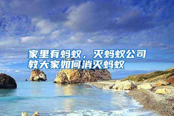 家里有螞蟻，滅螞蟻公司教大家如何消滅螞蟻