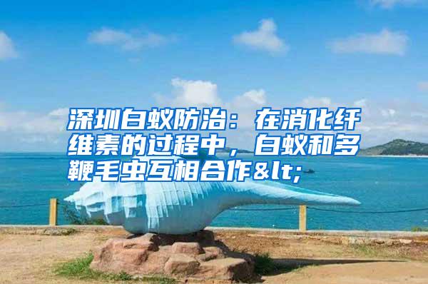 深圳白蟻防治：在消化纖維素的過(guò)程中，白蟻和多鞭毛蟲互相合作<