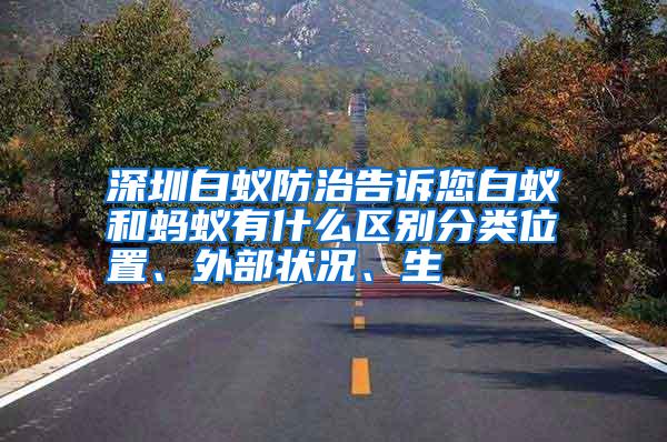 深圳白蟻防治告訴您白蟻和螞蟻有什么區(qū)別分類位置、外部狀況、生