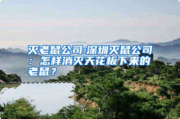 滅老鼠公司:深圳滅鼠公司：怎樣消滅天花板下來的老鼠？