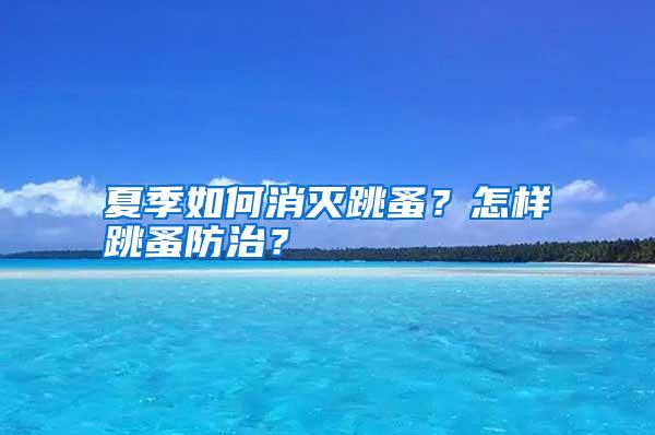 夏季如何消滅跳蚤？怎樣跳蚤防治？