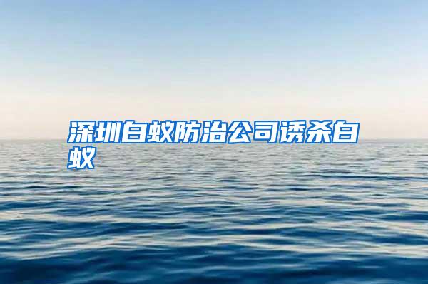 深圳白蟻防治公司誘殺白蟻