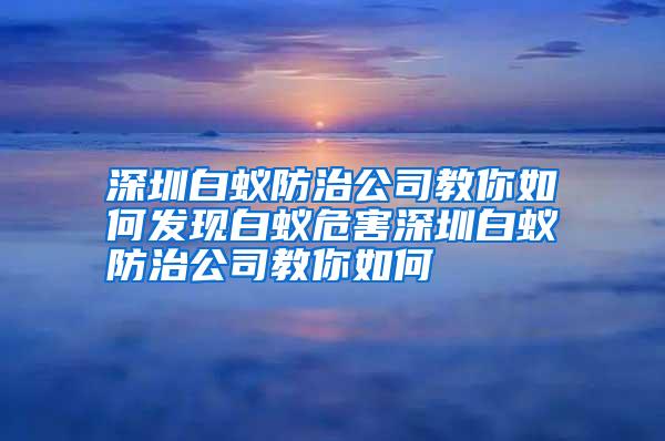 深圳白蟻防治公司教你如何發(fā)現(xiàn)白蟻危害深圳白蟻防治公司教你如何