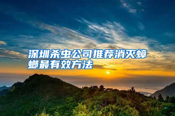 深圳殺蟲公司推薦消滅蟑螂最有效方法