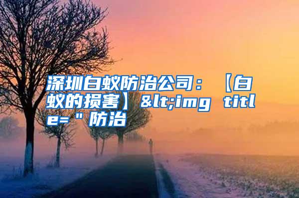 深圳白蟻防治公司：【白蟻的損害】<img title=＂防治