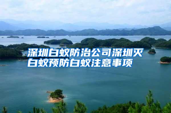 深圳白蟻防治公司深圳滅白蟻預(yù)防白蟻注意事項