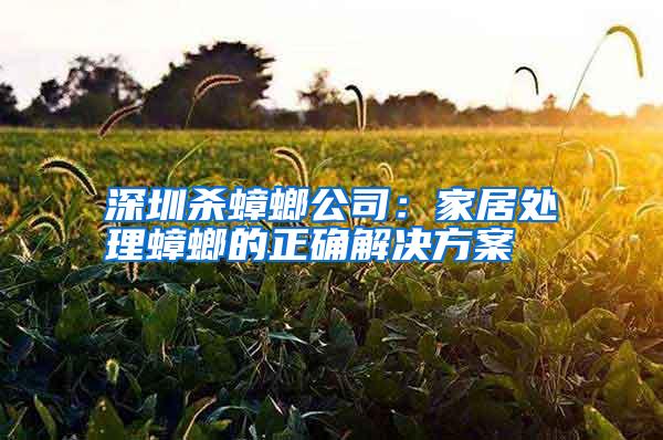 深圳殺蟑螂公司：家居處理蟑螂的正確解決方案