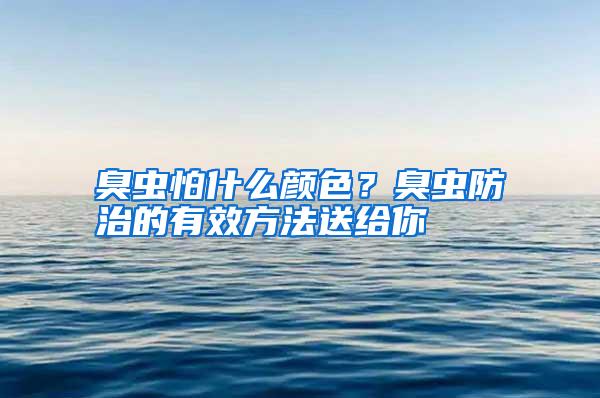 臭蟲怕什么顏色？臭蟲防治的有效方法送給你