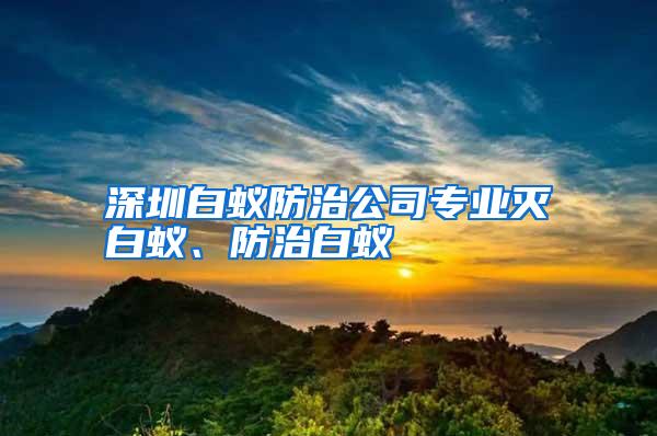 深圳白蟻防治公司專業(yè)滅白蟻、防治白蟻