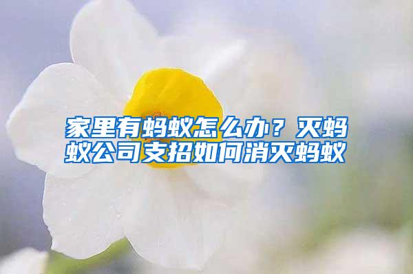 家里有螞蟻怎么辦？滅螞蟻公司支招如何消滅螞蟻