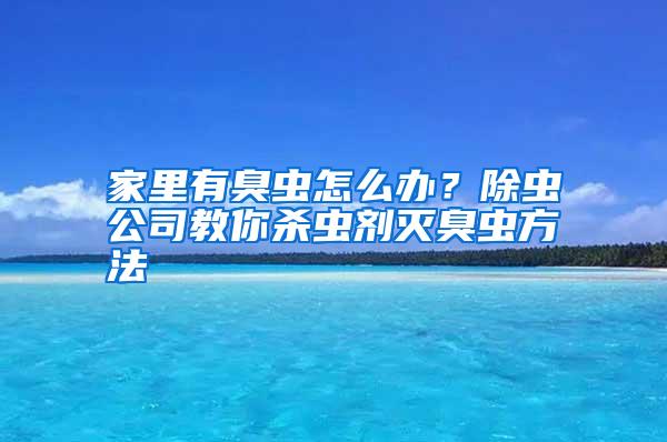 家里有臭蟲怎么辦？除蟲公司教你殺蟲劑滅臭蟲方法