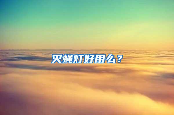 滅蠅燈好用么？