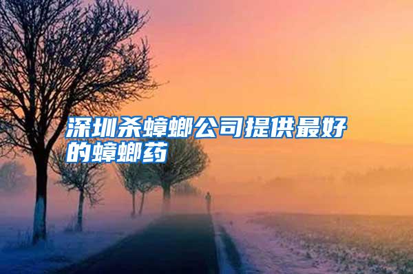 深圳殺蟑螂公司提供最好的蟑螂藥