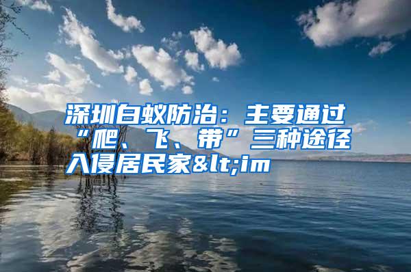 深圳白蟻防治：主要通過“爬、飛、帶”三種途徑入侵居民家<im