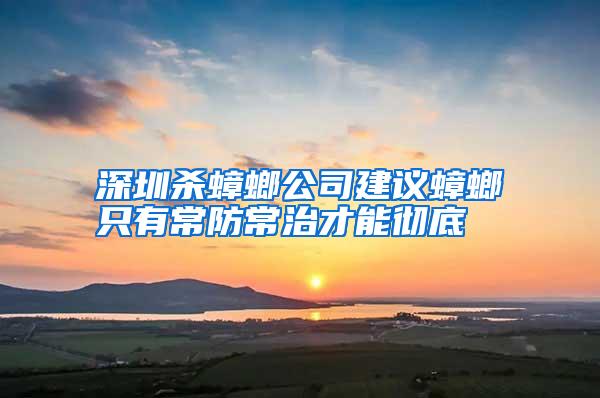 深圳殺蟑螂公司建議蟑螂只有常防常治才能徹底