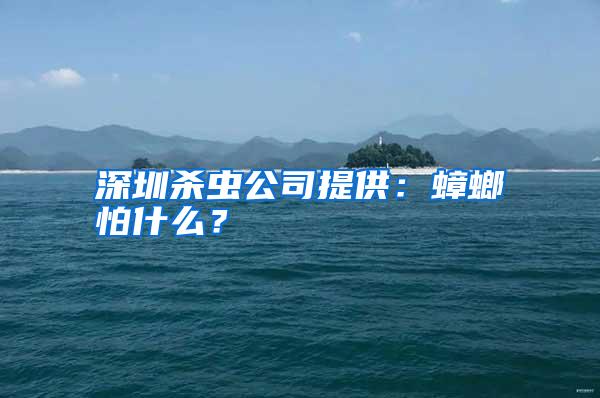 深圳殺蟲公司提供：蟑螂怕什么？