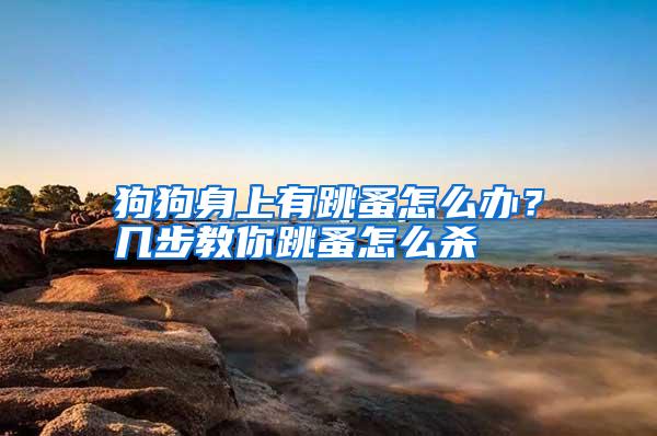 狗狗身上有跳蚤怎么辦？幾步教你跳蚤怎么殺