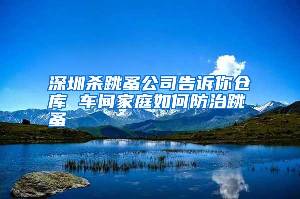 深圳殺跳蚤公司告訴你倉庫 車間家庭如何防治跳蚤